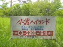 C[W03
